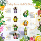 Diffuseur d'Huiles essentielles Aromathérapie
